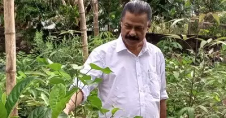 മിയോവാകി ജനവനം പദ്ധതിക്ക് തുടക്കം കുറിച്ച് മന്ത്രി എം.വി. ഗോവിന്ദന്‍; പദ്ധതി നടപ്പിലാക്കാത്തവര്‍ക്ക് മന്ത്രിയുടെ ചലഞ്ച്