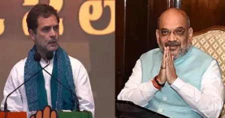 'കൊലപാതകിക്ക് ബി.ജെ.പി പ്രസിഡന്റാകാം': അമിത് ഷായ്ക്കെതിരായ പരാമര്‍ശത്തില്‍ രാഹുല്‍ ഗാന്ധിക്ക് ഇളവനുവദിച്ച് ജാര്‍ഖണ്ഡ് ഹൈക്കോടതി