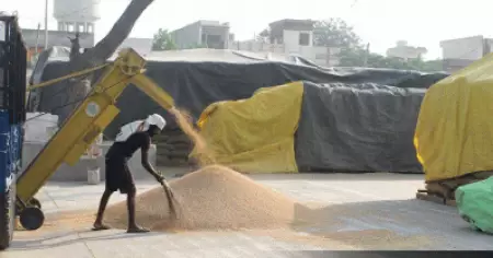 രാജ്യത്ത് ഗോതമ്പ് കയറ്റുമതിക്ക് നിരോധനം