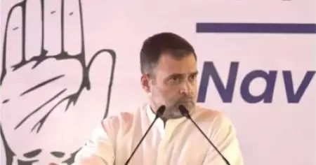 ജനവിശ്വാസം തിരിച്ചുപിടിക്കാന്‍ വിയര്‍ത്തേ മതിയാവൂ; ആര്‍.എസ്.എസിനെതിരായ പോരാട്ടമാണ് എന്റെ ജീവിതം: രാഹുല്‍ ഗാന്ധി