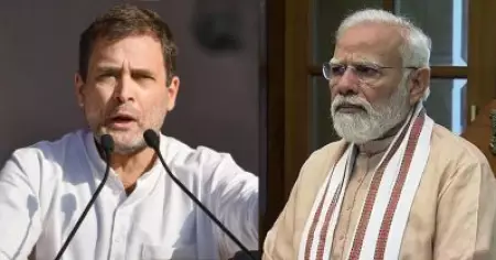 ശാസ്ത്രം കള്ളം പറയില്ല, പക്ഷേ മോദി പറഞ്ഞേക്കും: ലോകാരോഗ്യ സംഘടന പുറത്തുവിട്ട കൊവിഡ് മരണക്കണക്കില്‍ പ്രതികരിച്ച് രാഹുല്‍ ഗാന്ധി