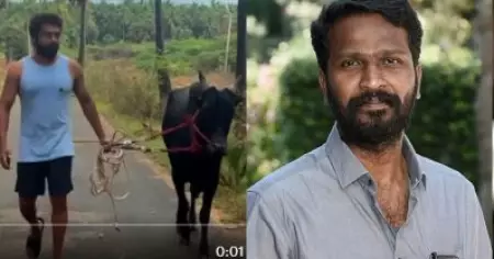 വാടിവസലിനായി സൂര്യ രണ്ട് കാളയെ വാങ്ങി; ഇപ്പോള്‍ പരിശീലനത്തിലാണ്: വെട്രിമാരന്‍