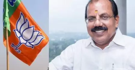 പ്രതീക്ഷിച്ച മുന്നേറ്റം മുന്‍പും ഉണ്ടാവാറില്ലല്ലോ; തെരഞ്ഞെടുപ്പ് പരാജയത്തില്‍ എ.എന്‍. രാധാകൃഷ്ണന്‍