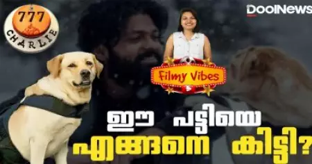 ഈ പട്ടിയെ എങ്ങനെ കിട്ടി?