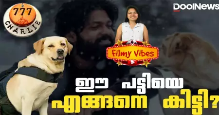 ഈ പട്ടിയെ എങ്ങനെ കിട്ടി?
