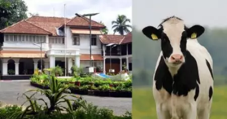 ക്ലിഫ് ഹൗസില്‍ കാലിത്തൊഴുത്ത് നിര്‍മിക്കാനും ചുറ്റുമതില്‍ പുനര്‍മിര്‍മിക്കാനും ഉത്തരവ്; 43 ലക്ഷം രൂപ അനുവദിച്ചു