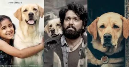 ഇവിടെ നവരസങ്ങളെല്ലാം ഒക്കെയാ; രക്ഷിത് ഷെട്ടിയെ സൈഡാക്കി ഷോ അടിച്ചുമാറ്റിയ നായ