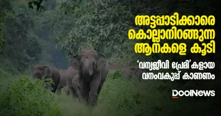 അട്ടപ്പാടിക്കാരെ കൊല്ലാനിറങ്ങുന്ന ആനകളെ കൂടി 'വന്യജീവി പ്രേമി'കളായ വനംവകുപ്പ് കാണണം