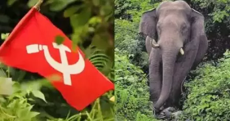 ആറളത്തെ കാട്ടാന ആക്രമണം; വനം വകുപ്പിനെതിരെ നിലപാട് കടുപ്പിച്ച് സി.പി.ഐ.എം, ഫോറസ്റ്റ് ഓഫീസ് മാര്‍ച്ച് 30ന്
