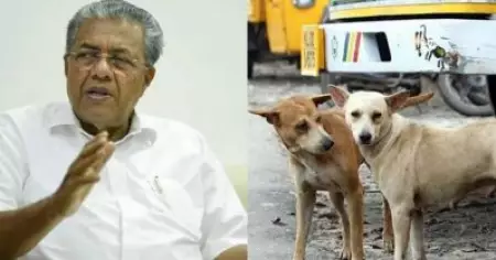 കൊന്നൊടുക്കലല്ല പരിഹാരം, ആക്രമിക്കുന്നത് നായയുടെ കുറ്റമല്ല; സര്‍ക്കാരിന്റെ ശാസ്ത്രീയ പദ്ധതികള്‍ അവതരിപ്പിച്ച് മുഖ്യമന്ത്രി