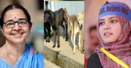 എനിക്ക് അവരുമായി സമാധാനത്തില്‍ ജീവിക്കണമെന്നുണ്ട്, പക്ഷേ അവര്‍ക്ക് മനസിലാകുന്നില്ല, മേയറൊന്ന് ഉപദേശിക്കണം: തെരുവ് നായ വിഷയത്തില്‍ ബീന ഫിലിപ്പിനെ പരിഹസിച്ച് ഫാത്തിമ തഹിലിയ