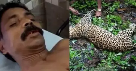 'ഭയപ്പെട്ടിരുന്നെങ്കില്‍ പുലി കൊന്നുതിന്നേനെ,' വാക്കത്തിയാണ് തന്റെ ജീവന്‍ രക്ഷിച്ചത്; സ്വയരക്ഷക്കായി പുലിയെ കൊന്ന ആദിവാസി കര്‍ഷകന്‍ ഗോപാലന്‍