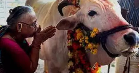 സനാതന ഹിന്ദു ധർമ്മ ആചാരം മറക്കരുത്; ഗോ പൂജ നടത്താൻ ക്ഷേത്രങ്ങൾക്ക് നിർദേശം നൽകി സർക്കാർ ഉത്തരവ്