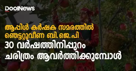 ആപ്പിള്‍ കര്‍ഷക സമരത്തില്‍ ഞെട്ടറ്റുവീണ ബി.ജെ.പി; 30 വര്‍ഷത്തിനിപ്പുറം ചരിത്രം ആവര്‍ത്തിക്കുമ്പോള്‍