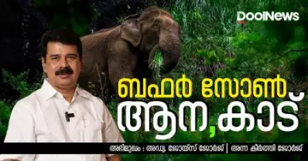 Interview | ആന, കാട്, ബഫര്‍ സോണ്‍; ജോയ്‌സ് ജോര്‍ജ് സംസാരിക്കുന്നു