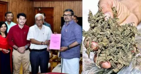 കേരളത്തില്‍ കൗമാരക്കാര്‍ ഏറ്റവും കൂടുതല്‍ ഉപയോഗിക്കുന്ന ലഹരിവസ്തു കഞ്ചാവ്; എക്‌സൈസ് സര്‍വേ റിപ്പോര്‍ട്ട്