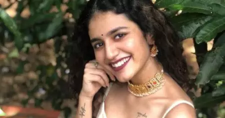 അഡാര്‍ ലവിന് ശേഷം പ്രതീക്ഷിച്ച ഹൈപ്പുണ്ടായില്ല; ഇന്‍ഡസ്ട്രിയില്‍ എന്നെക്കുറിച്ചുള്ള തെറ്റിദ്ധാരണകള്‍ ഇതൊക്കെയാണ്: പ്രിയ വാര്യര്‍
