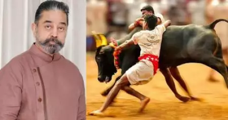 ജല്ലിക്കെട്ട് ചെന്നൈയിലും നടത്തും; പ്രഖ്യാപനവുമായി കമല്‍ ഹാസന്‍
