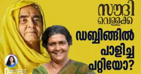 ഡബ്ബിങ്ങില്‍ പാളിച്ച പറ്റിയോ? | D Movies