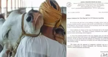 'പ്രണയം പശുവിനോട് മാത്രം'; പ്രണയദിനത്തില്‍ പശുവിനെ ആലിംഗനം ചെയ്ത് ആഘോഷിക്കൂ എന്ന് കേന്ദ്രം