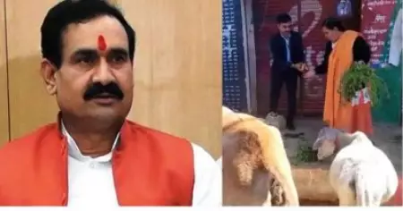 മദ്യശാലകൾക്ക് മുൻപിൽ പശുവിനെ കെട്ടിയത് നല്ല കാര്യം: ഉമാ ഭാരതിയെ പ്രശംസിച്ച് മന്ത്രി