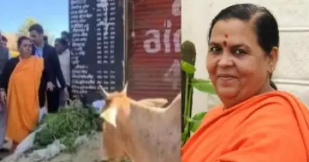 മദ്യം ഒഴിവാക്കൂ, പാല്‍ കുടിക്കൂ...; മദ്യശാലക്ക് മുമ്പില്‍ പശുക്കളെ കെട്ടിയിട്ട് ഉമാ ഭാരതിയുടെ പ്രതിഷേധം