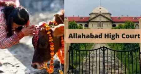 പശുവിനെ കൊല്ലുന്നവന്‍ നരകത്തില്‍ പോകും; പശു സംരക്ഷണത്തിന് കേന്ദ്രം നിയമം കൊണ്ടുവരണം: അലഹബാദ് ഹൈക്കോടതി