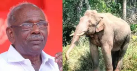 അരിക്കൊമ്പന്‍ തന്റെ തള്ളയാന മരിച്ച സ്ഥലത്ത് എത്തുന്നത് വാര്‍ത്തയാകുമ്പോള്‍, ആനയാല്‍ കൊല്ലപ്പെട്ടവരുടെ പ്രശ്‌നം ചര്‍ച്ചയാകുന്നില്ല: എം.എം. മണി