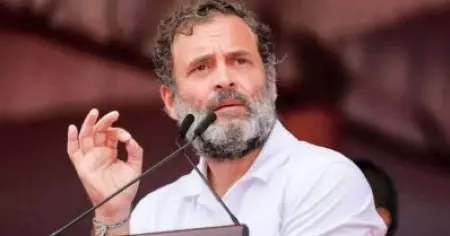അപകീര്‍ത്തി കേസില്‍ രാഹുല്‍ ഗാന്ധിക്ക് തിരിച്ചടി; എം.പി സ്ഥാനത്തിനുള്ള അയോഗ്യത തുടരും