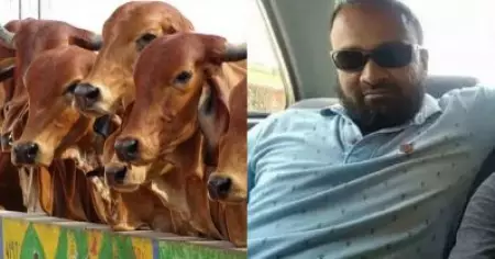 'പാകിസ്ഥാനിലേക്ക് പോകൂ'; കന്നുകാലി വ്യാപാരിയെ കൊലപ്പെടുത്തി ​ഗോ സംരക്ഷകർ