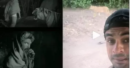 പുഷ്പ കടുവയെ ഇറക്കിയാല്‍ മിന്നല്‍ മുരളി സിംഹത്തെ ഇറക്കും; ടൊവിനോയുടെ വീഡിയോ വൈറല്‍