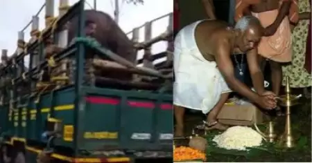 മിഷന്‍ അരികൊമ്പന്‍; പെരിയാര്‍ വന്യ ജീവി കവാടത്തില്‍ വനം വകുപ്പിന്റെ വക പൂജ