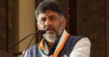 ഞാന്‍ തനിച്ചാണ്; ധൈര്യത്തോടെ പാര്‍ട്ടിയെ നയിച്ച് കഴിവ് തെളിയിച്ചു: ശിവകുമാര്‍