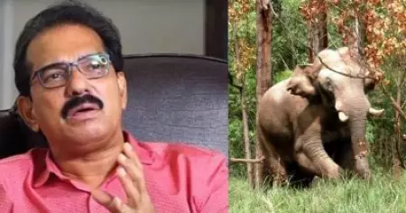 'അരിക്കൊമ്പന്‍ കേരളത്തിന്റെ സ്വത്ത്'; സുരക്ഷയും ചികിത്സയും ഉറപ്പാക്കാന്‍ ഹൈക്കോടതിയില്‍ ഹരജി നല്‍കി സാബു ജേക്കബ്