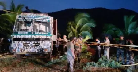 അരിക്കൊമ്പന്‍ മിഷന്‍ വേഗത്തില്‍ പൂര്‍ത്തിയാക്കി തമിഴ്‌നാട് വനം വകുപ്പ്; മയക്കുവെടിവെച്ച് പിടികൂടി