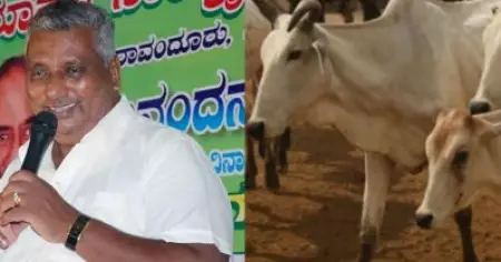 പോത്തിനെ അറക്കാമെങ്കില്‍ പശുക്കളെയും അറക്കാം; കര്‍ണാടക മൃഗ സംരക്ഷണ മന്ത്രി; പിന്നാലെ ഹിന്ദുത്വ വാദികളും പ്രതിഷേധം