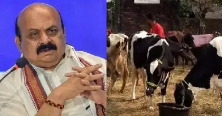 'ഇന്ത്യക്കാര്‍ക്ക് പശുക്കളുമായി വൈകാരിക ബന്ധം'; ബി.ജെ.പിയുടെ കാലത്തുള്ള കശാപ്പ് നിയമം ഇപ്പോഴും കര്‍ണാടകയിലുണ്ട്: ബൊമ്മൈ