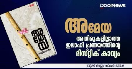 അമേയ; 'അതിരുകളില്ലാത്ത ഇലാഹി പ്രണയത്തിന്റെ മിസ്റ്റിക് കാവ്യം'