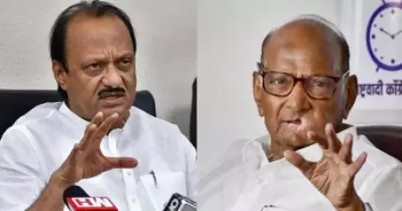 എന്‍.സി.പി പിളര്‍ന്നിട്ടില്ല; അജിത് പവാര്‍ ഇപ്പോഴും പാര്‍ട്ടി നേതാവ്: ശരദ് പവാര്‍