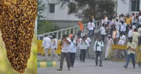ബി.ജെ.പി സമരത്തിനിടക്ക് തേനീച്ച ആക്രമണം; ചിതറിയോടി പ്രവർത്തകർ