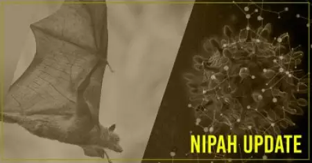 കോഴിക്കോട് നിപ ബാധിച്ച 2 പേർക്ക് രോഗമുക്തി; ഇന്ന് ആശുപത്രി വിട്ടേക്കും