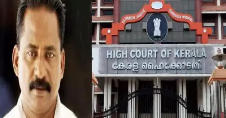 ടി.പി. വധക്കേസ്; അപ്പീലുകളിൽ അന്തിമ വാദം തുടങ്ങി