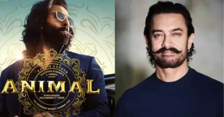 സംവിധായകര്‍ സിനിമകള്‍ വിജയിക്കാന്‍ വയലന്‍സിനെയും ലൈംഗികതയെയും ആശ്രയിക്കുന്നു; അനിമലിന് പിന്നാലെ വൈറലായി അമീര്‍ ഖാന്റെ ഇന്റര്‍വ്യൂ