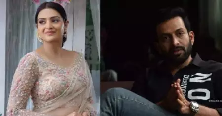 ലിപ്സ്റ്റിക്കും നെയില്‍പോളിഷും ഇട്ടുകൊണ്ടാണോ ചേട്ടന്‍ മരിച്ച കാര്യം പറയാന്‍ പോവുന്നതെന്ന് പൃഥ്വി ചോദിച്ചു': ഷൂട്ടിങ് അനുഭവം പങ്കുവെച്ച് ദിവ്യാ പിള്ള