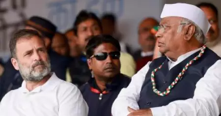 കോൺ​ഗ്രസിന് ആശ്വാസം; അക്കൗണ്ടുകൾ താത്കാലികമായി ഉപയോ​ഗിക്കാമെന്ന് ആദായ നികുതി അപ്പലേറ്റ് ട്രിബ്യൂണൽ