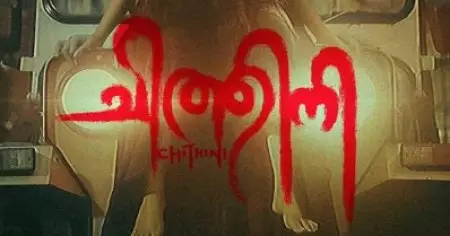 വിനയ് ഫോർട്ടും അമിത്ത് ചക്കാലക്കലും ഒന്നിക്കുന്ന ഹൊറർ ത്രില്ലർ, ചിത്തിനി