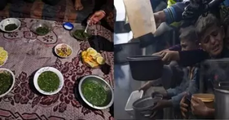 പുല്ല് തിന്ന് നോമ്പ് തുറക്കാന്‍ നിര്‍ബന്ധിതരായി; പട്ടിണിയെ ചെറുത്തുനിന്ന് തോല്‍പ്പിക്കുമെന്ന് ഫലസ്തീനി കുടുംബം