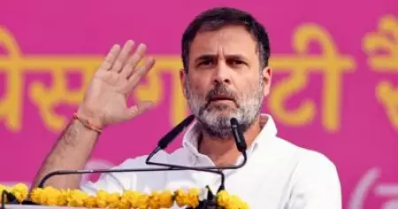 ഇന്ത്യയിലെ വോട്ടിങ് മെഷിനുകള്‍ ബ്ലാക്ക് ബോക്‌സുകള്‍ക്ക് സമാനം: രാഹുല്‍ ഗാന്ധി