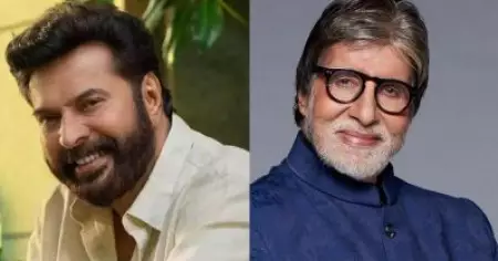 ആ മമ്മൂട്ടി ചിത്രത്തിന്റെ റീമേക്കില്‍ നായകന്‍ ആകേണ്ടിയിരുന്നത് അമിതാഭ് ബച്ചന്‍; അതിനായി രണ്ട് വര്‍ഷം സമയം വേണമെന്ന് പറഞ്ഞു: വാസുദേവന്‍ ഗോവിന്ദന്‍കുട്ടി