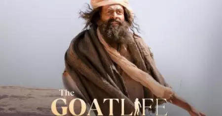 ആടുജീവിതത്തിലെ ആ സീനുകളെല്ലാം മാജിക്കലായി കിട്ടിയതാണ്; മനഃപൂർവം എടുത്തതല്ല: സുനിൽ കെ.എസ്